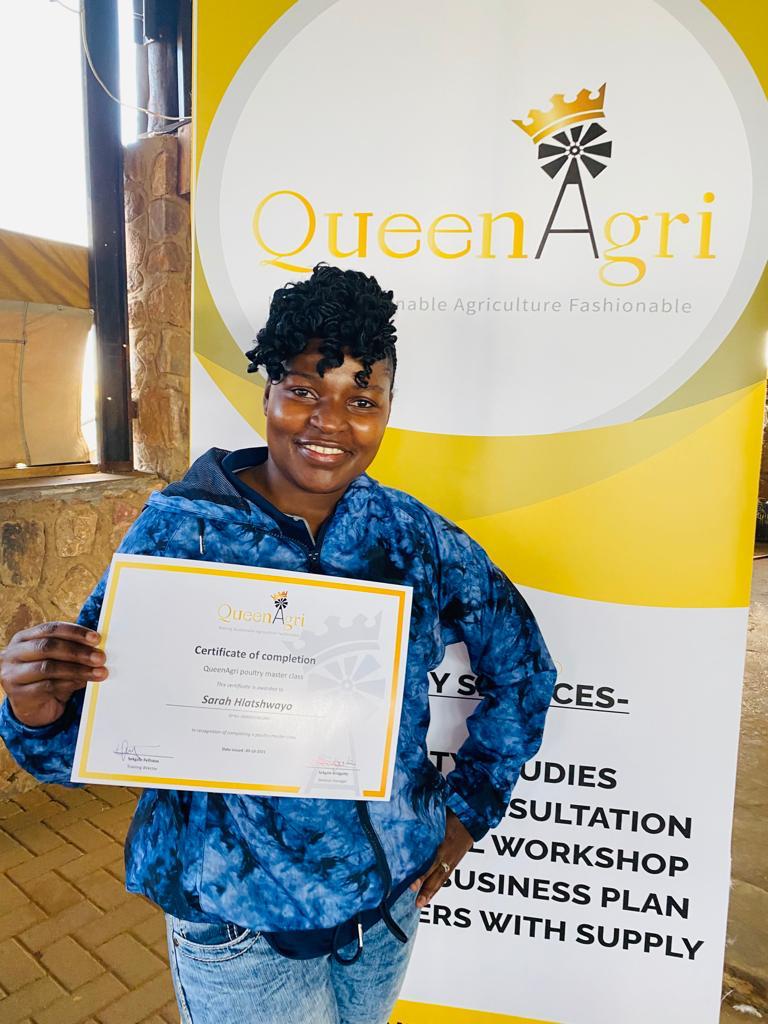 Day old chicks in brooder